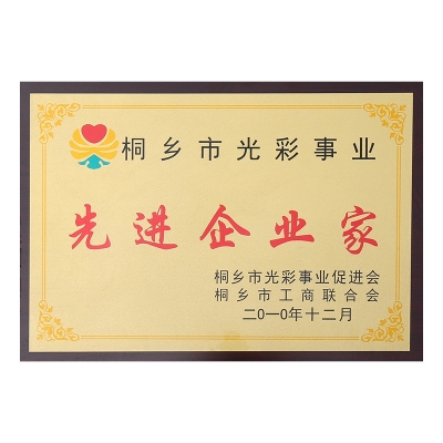 桐鄉(xiāng)市光彩事業(yè)先進企業(yè)家